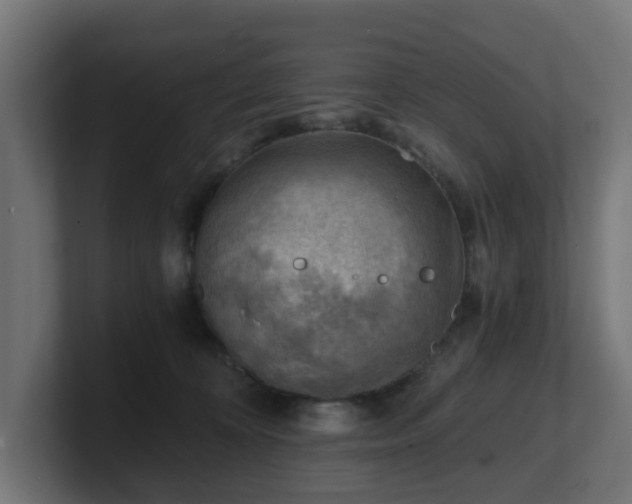 X0000101650324200807171258