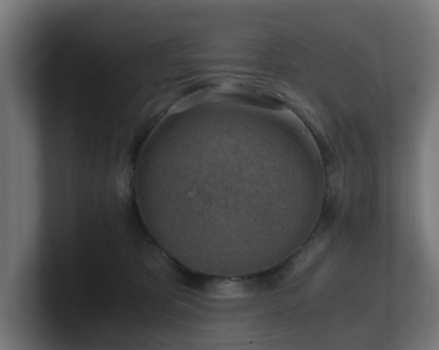 X0000101650325200807171258