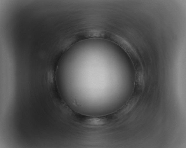 X0000101650326200807171258