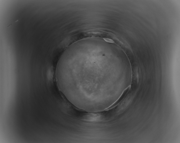 X0000101650328200807171258