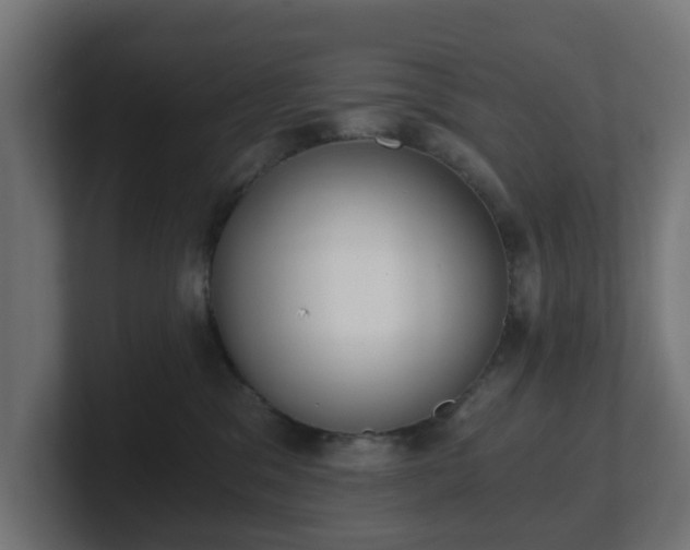 X0000101650329200807171258