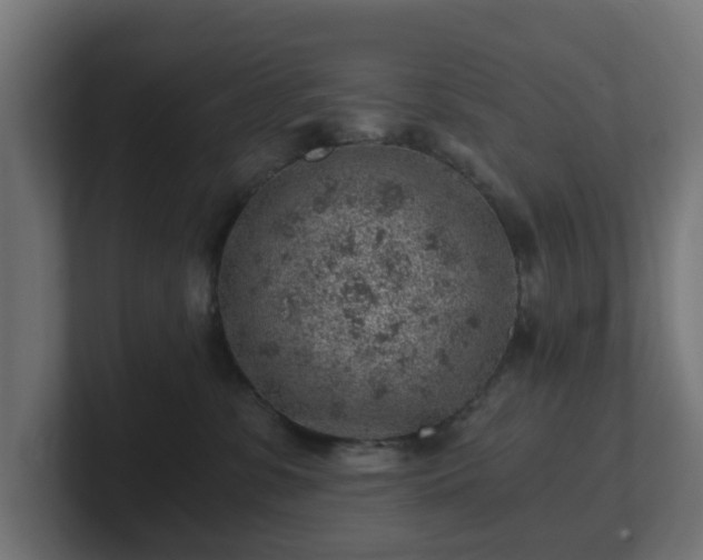 X0000101650331200807171258