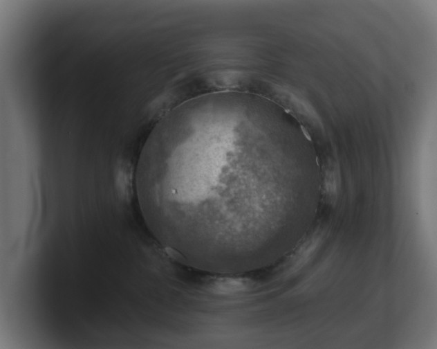 X0000101650332200807171258