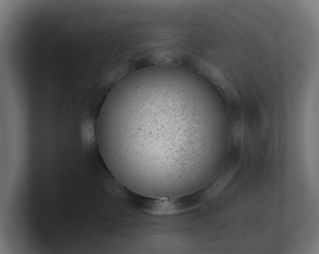 X0000101650335200807171258