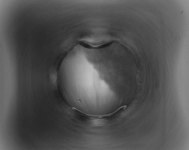 X0000101650336200807171258