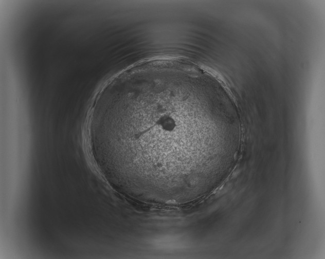 X0000101650337200807171257