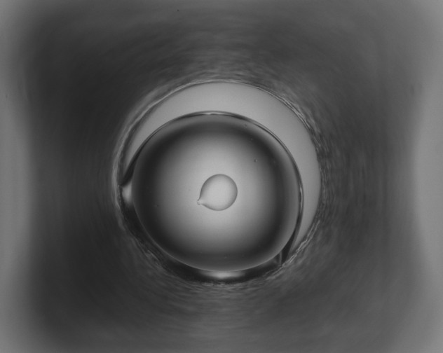 X0000101650340200807171257