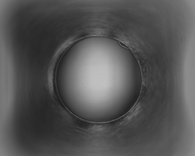 X0000101650341200807171257