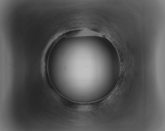 X0000101650342200807171258