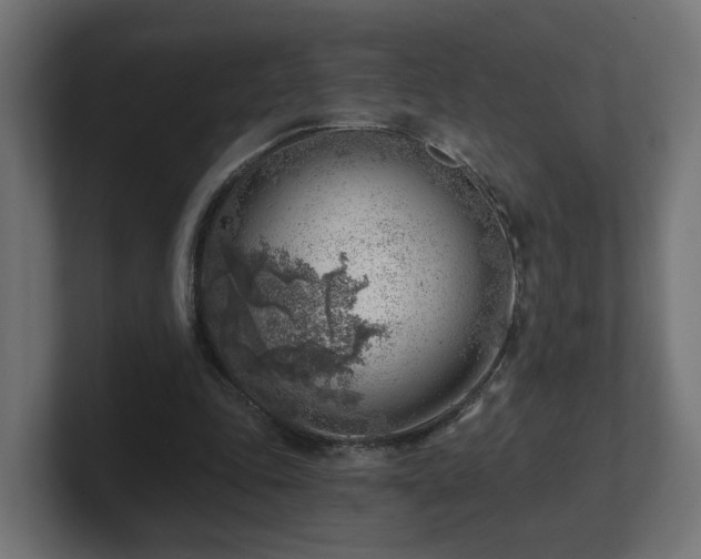 X0000101650343200807171258