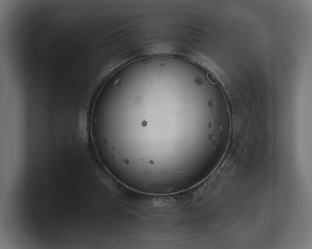 X0000101650345200807171258