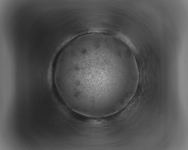 X0000101650346200807171258