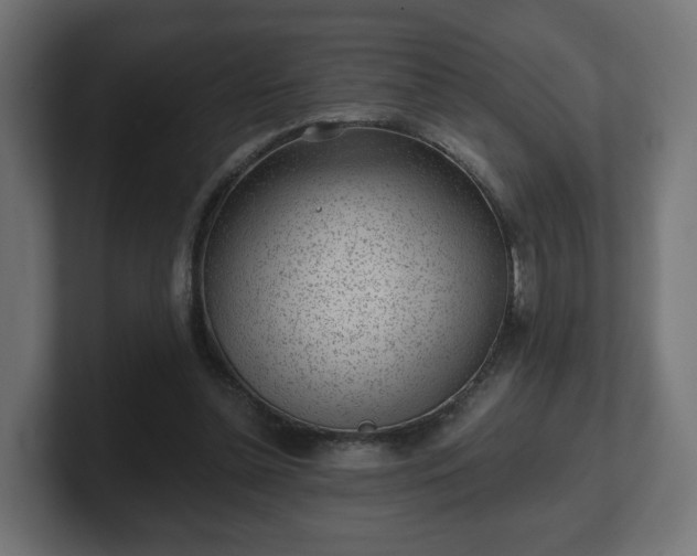 X0000101650348200807171258