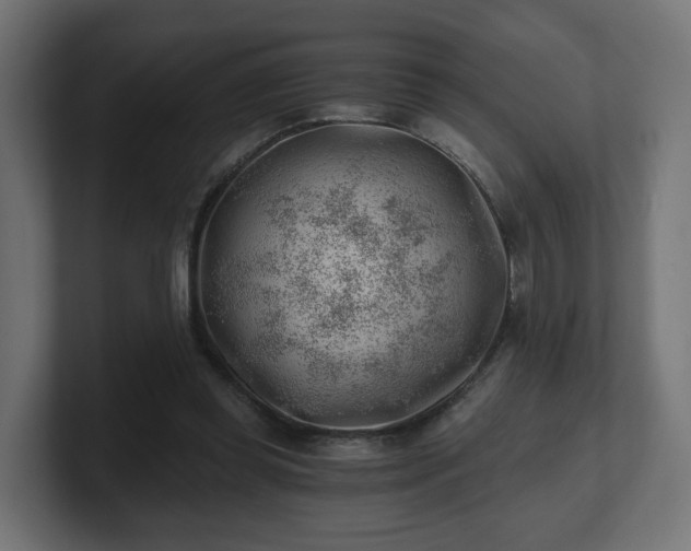 X0000101650349200807171258