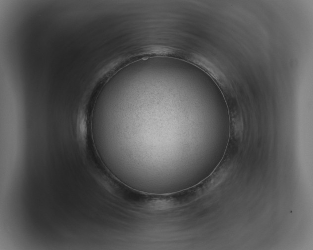 X0000101650350200807171258