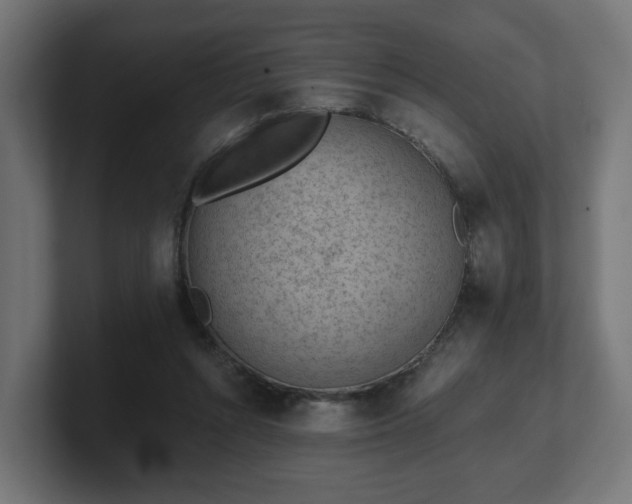 X0000101650352200807171258