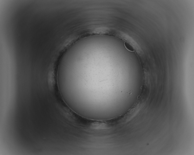 X0000101650354200807171258