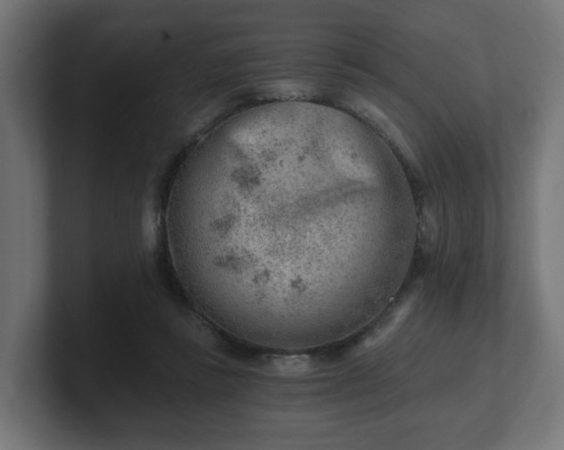 X0000101650355200807171258