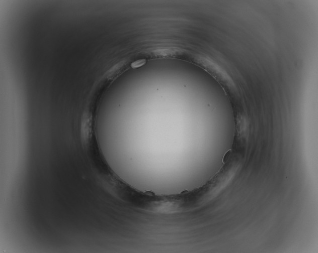 X0000101650356200807171258