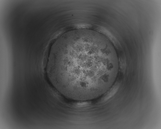 X0000101650357200807171258