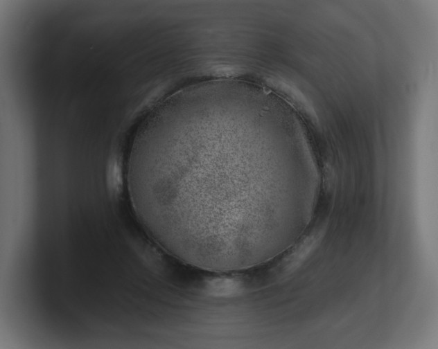 X0000101650358200807171258