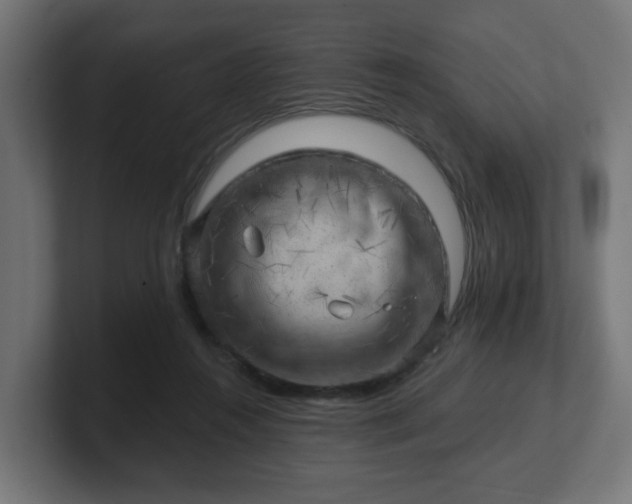 X0000101650360200807171258