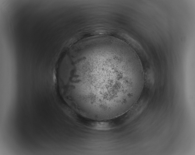 X0000101650361200807171258