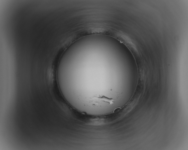 X0000101650362200807171258