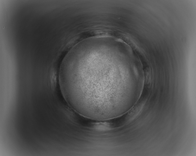 X0000101650363200807171258