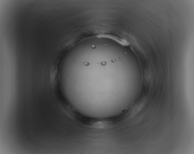 X0000101650364200807171258