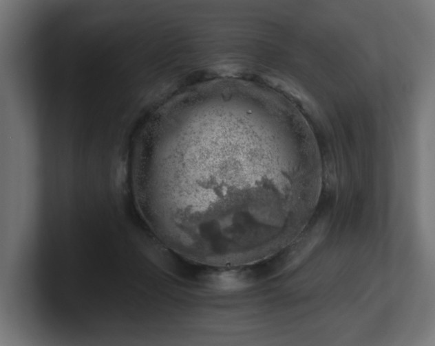 X0000101650365200807171258