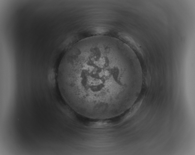 X0000101650366200807171258