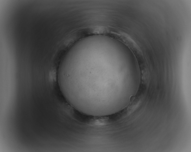 X0000101650368200807171258