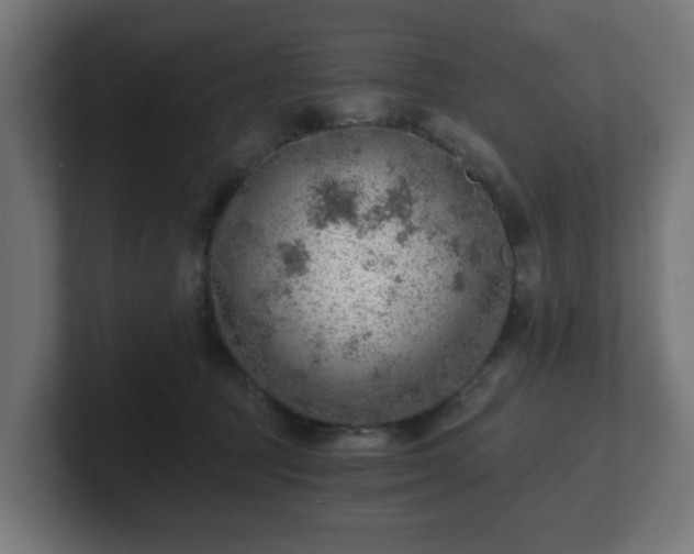 X0000101650369200807171258