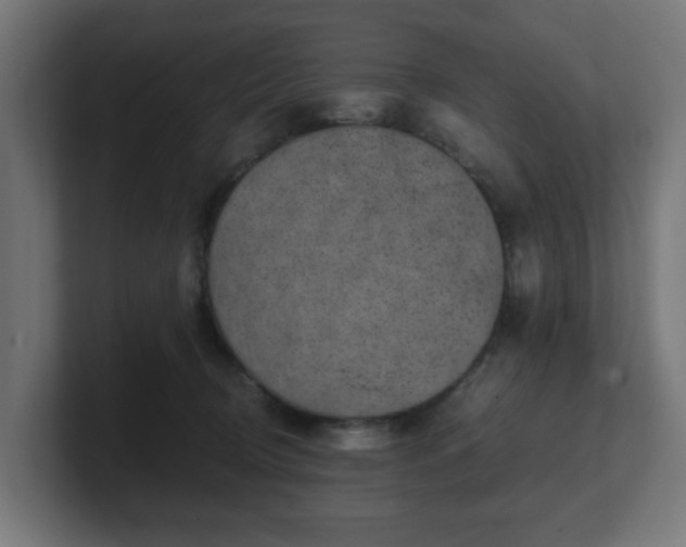 X0000101650370200807171258