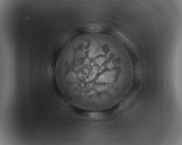 X0000101650371200807171258