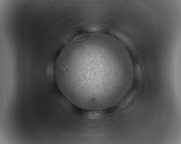 X0000101650373200807171258