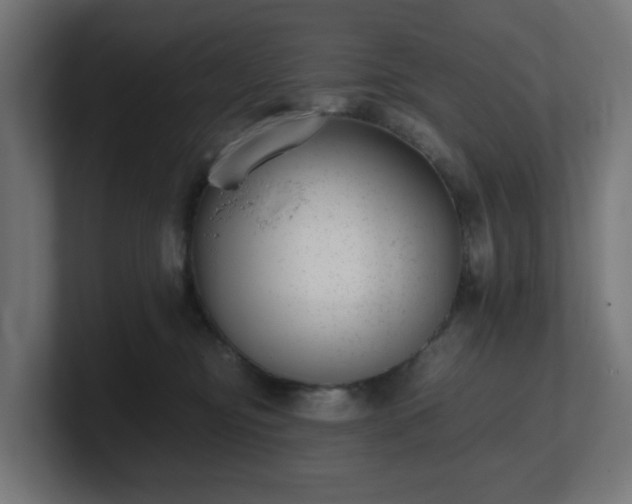 X0000101650374200807171258