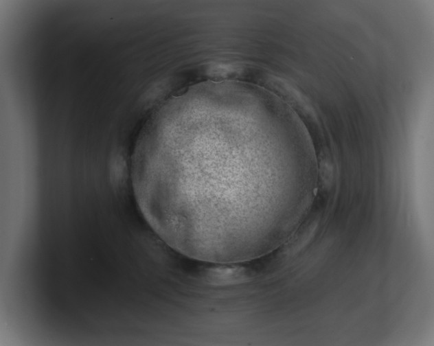 X0000101650375200807171258