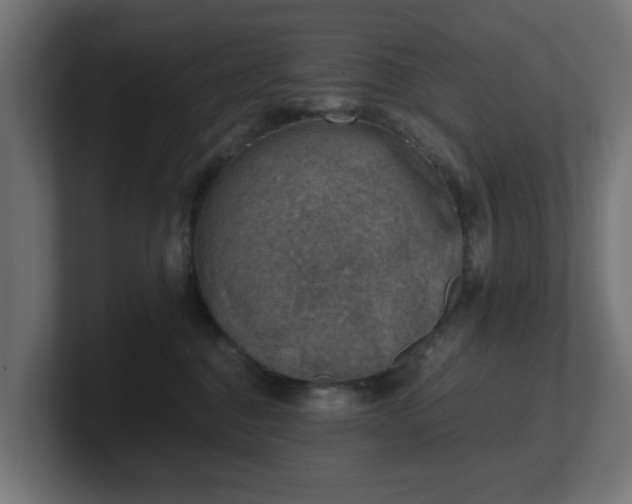 X0000101650376200807171258