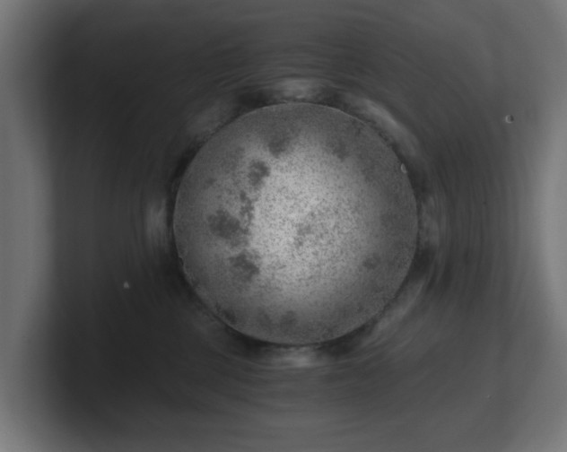 X0000101650377200807171258