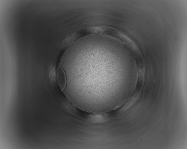 X0000101650381200807171258