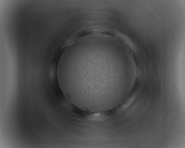 X0000101650382200807171258