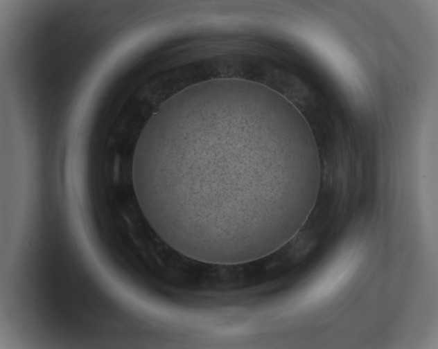 X0000101650383200807171258