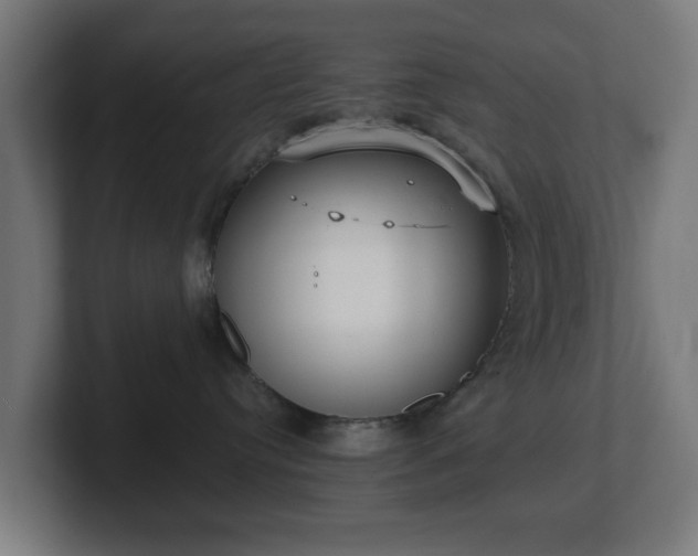 X0000101650384200807171258