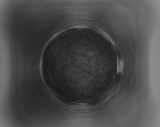 X0000101650387200807171257