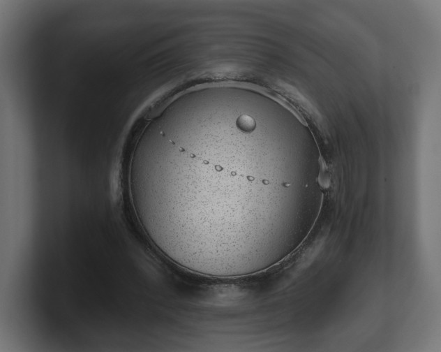 X0000101650392200807171257