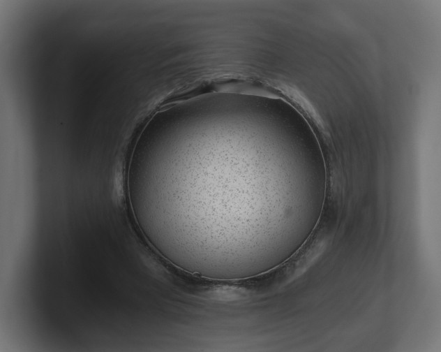 X0000101650393200807171257