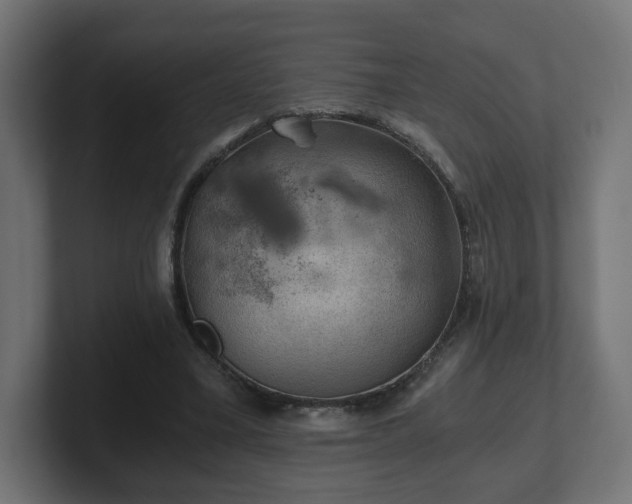 X0000101650395200807171257