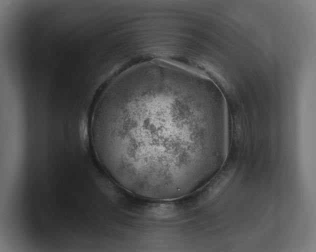 X0000101650398200807171257